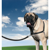 Easy Walk® Harness - Anti-Trek Tuigje Easy Walk® Easy Walk® Harness - Anti-Trek Tuigje