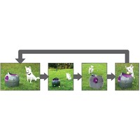 PetSafe® Automatic Ball Launcher PetSafe® PetSafe® Automatic Ball Launcher