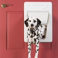 SmartDoor™ Electronic Pet Door PetSafe SmartDoor™ Electronic Pet Door