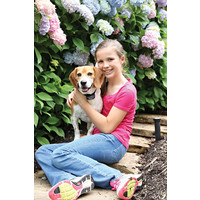 PetSafe® PetSafe® Rechargeable In-Ground Fence™ System