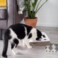 District 70 SPY Multifunctional Cat Toy