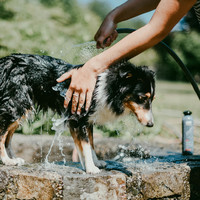 Greenfields Hundeshampoo Schwarzes Fell 250 ml Greenfields Greenfields Hundeshampoo Schwarzes Fell 250 ml