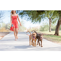 Wigzi Dual Doggie 3.0 - Grijs Wigzi Wigzi Dual Doggie 3.0 - Grijs