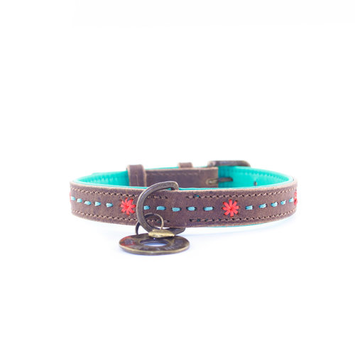 Dog With A Mission Joplin Collar