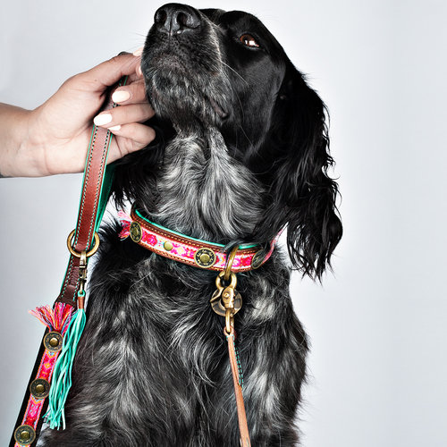 Dog With A Mission Boho Leash