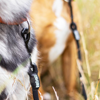 Rebel Petz Adjustable Double Dog Leash Rebel Petz Rebel Petz Adjustable Double Dog Leash