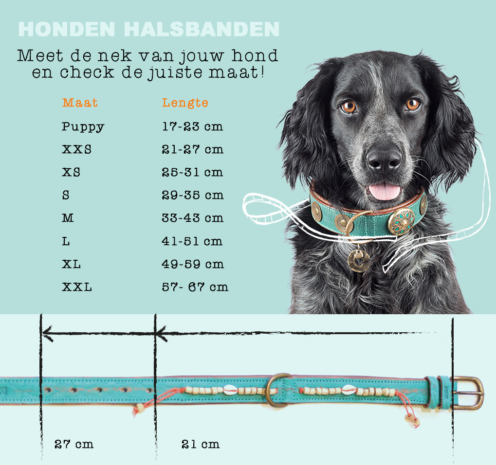 Onderhoud Overeenkomstig met precedent Dog with a Mission - Halsband Bibi - Gele leren Hondenhalsband - Max&Luna