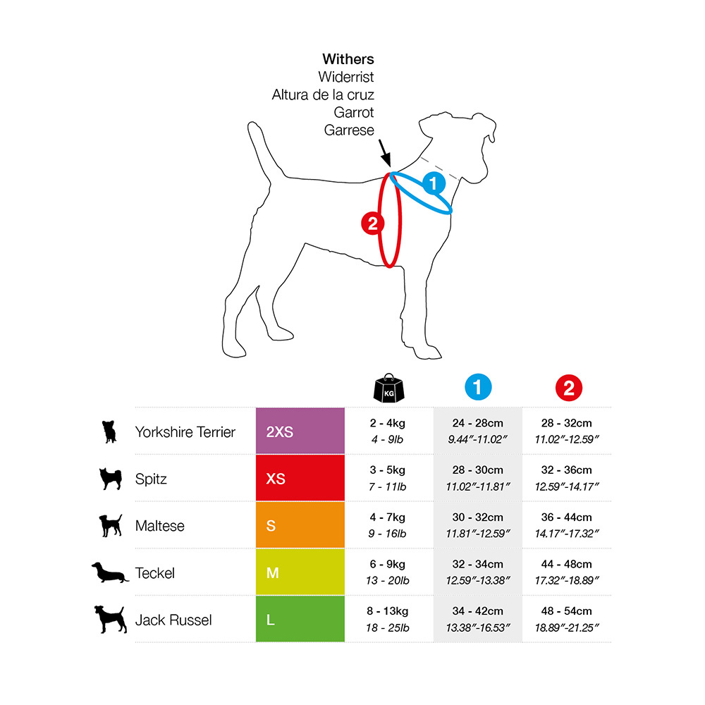 2 Hounds Harness Size Chart