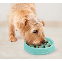 Outward Hound Fun Feeder Slo Bowl - Mint - XS