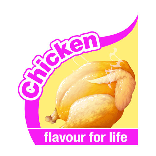 Nylabone Moderate Chew Bone Chicken - Small