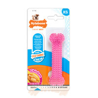 Nylabone Puppy Teething Dental Chicken X-Small Nylabone Nylabone Puppy Teething Dental Chicken X-Small