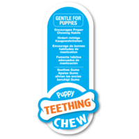 Nylabone Puppy Chew Teething Pacifier Bacon - XS