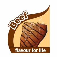 Nylabone Puppy Chew Rawhide Knot Beef X-Small Nylabone Nylabone Puppy Chew Rawhide Knot Beef X-Small