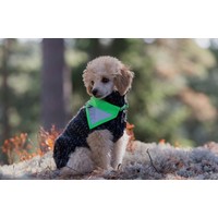 RukkaPets Flip Safety Scarf RukkaPets RukkaPets Flip Safety Scarf