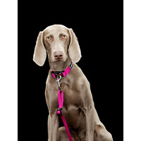 RukkaPets Bliss Adjustable Leash RukkaPets RukkaPets Bliss Adjustable Leash