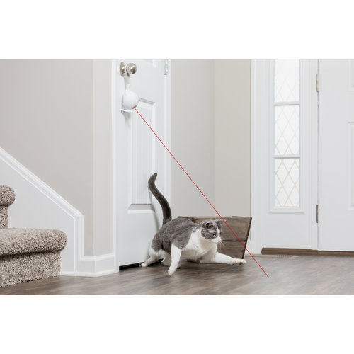 PetSafe Dancing Dot Laser Cat Toy