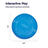 Orka Flyer Pet Specialty Petstages Orka Flyer Pet Specialty