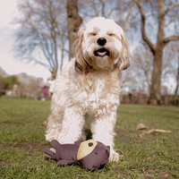 Recycled Soft Toy Teddy - Medium Beco Recycled Soft Toy Teddy - Medium