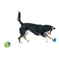PetSafe® PetSafe®  Ricochet Electronic dog Toys