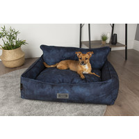 Scruffs Kensington Box Bed