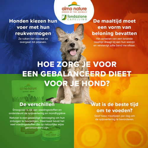 Almo Nature Holistic Droogvoer Hond - voor Middelgrote Hondenrassen - Maintenance - M/L