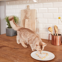 GimCat Cheese Rollis GimCat GimCat Cheese Rollis