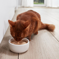 GimCat Milk 200ml GimCat GimCat Milk 200ml