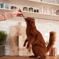GimCat Sticks GimCat GimCat Sticks