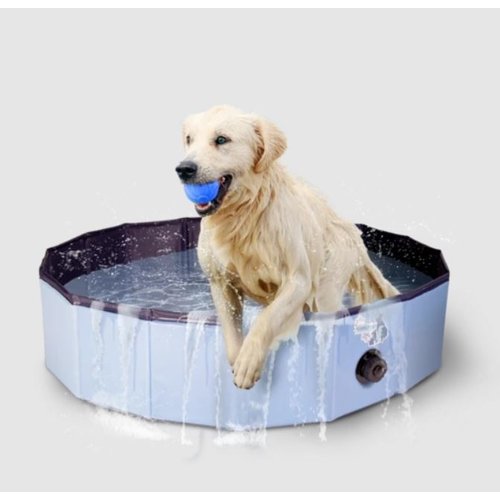 CoolPets Splash Dog Pool