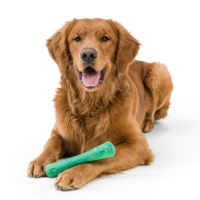 West Paw Seaflex Drifty™ West Paw West Paw Seaflex Drifty™