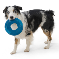 West Paw Seaflex Sailz™ West Paw West Paw Seaflex Sailz™