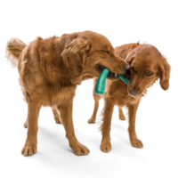 West Paw Seaflex Snorkl™ West Paw West Paw Seaflex Snorkl™
