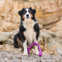West Paw Seaflex Snorkl™ West Paw West Paw Seaflex Snorkl™