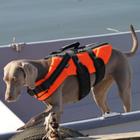 RukkaPets Safety Life Vest RukkaPets RukkaPets Safety Life Vest