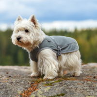RukkaPets Cooling Vest RukkaPets RukkaPets Cooling Vest