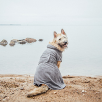 RukkaPets Micro Light Bathrobe RukkaPets RukkaPets Micro Light Bathrobe