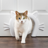 PetSafe® Cat Corridor™ Interior Pet Door PetSafe® PetSafe® Cat Corridor™ Interior Pet Door