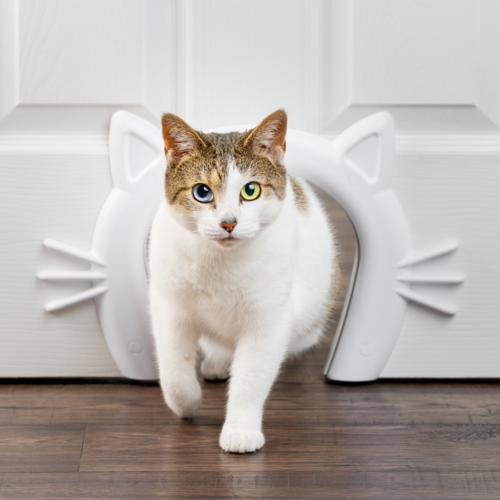 PetSafe Cat Corridor™ Interior Pet Door