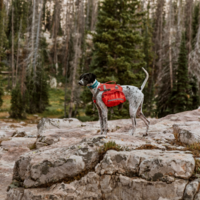 Kurgo - Baxter Backpack Kurgo Kurgo - Baxter Backpack