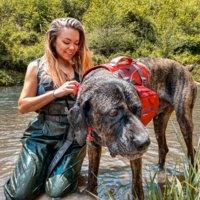 Kurgo - Baxter Backpack Kurgo Kurgo - Baxter Backpack