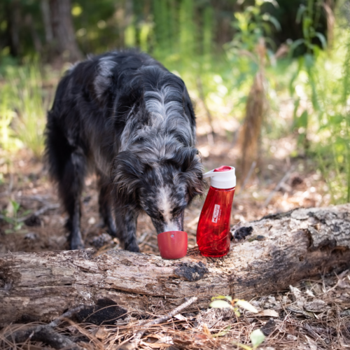 Kurgo Gourd H2O Bottle & Bowl