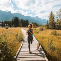 Kurgo K9 Excursion Laufgürtel Kurgo Kurgo K9 Excursion Laufgürtel