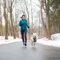 Kurgo - Quantum Leash Kurgo Kurgo - Quantum Leash