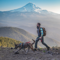 Kurgo - Quantum Leash Kurgo Kurgo - Quantum Leash
