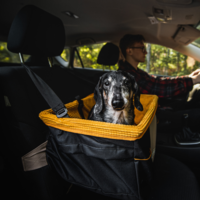 Kurgo - Skybox Booster Seat Kurgo Kurgo - Skybox Booster Seat