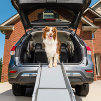 PetSafe Happy Ride Telescoping Dog Ramp