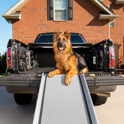 PetSafe Happy Ride Telescoping Dog Ramp