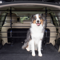 Happy Ride Metal Dog Barrier PetSafe® Happy Ride Metal Dog Barrier