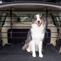 PetSafe Happy Ride Metal Dog Barrier