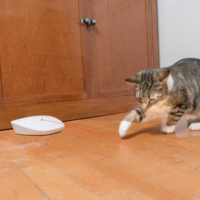 Frolicat Laser Tail Light Frolicat Frolicat Laser Tail Light